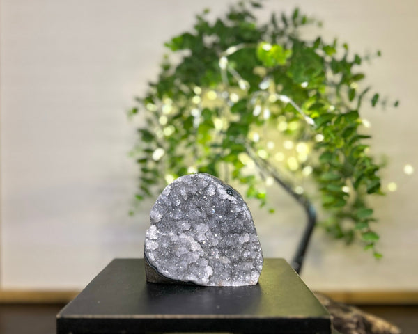 Grey Amethyst Cluster Crystal #C094 | Collection Quality Amethyst - Lucid Willow - Crystal