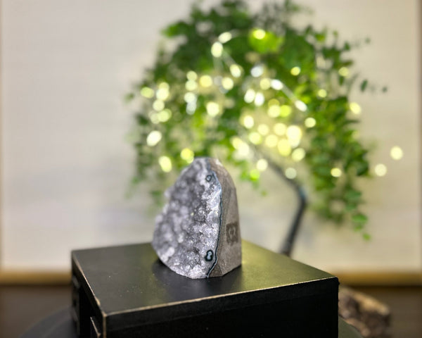 Grey Amethyst Cluster Crystal #C094 | Collection Quality Amethyst - Lucid Willow - Crystal