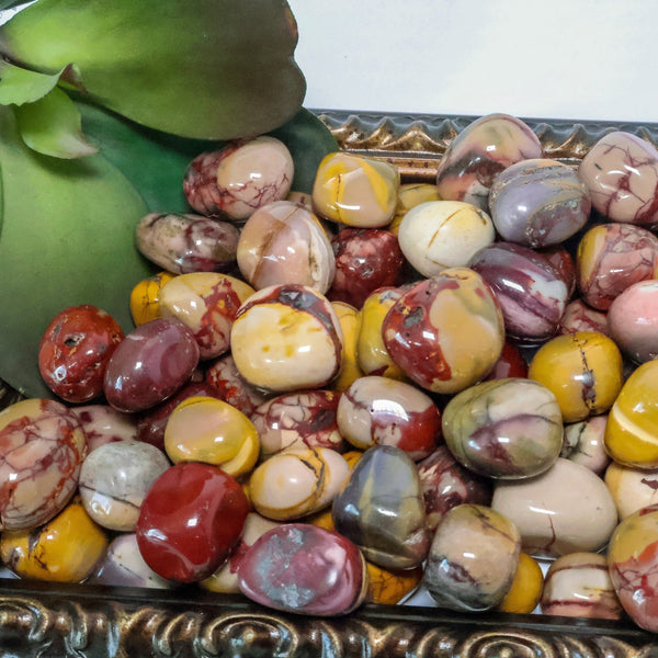 Mookaite Tumbled Stones (0.5 - 1.0" Avg) #C109 - Lucid Willow - Crystal