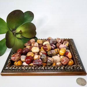 Mookaite Tumbled Stones (0.5 - 1.0" Avg) #C109 - Lucid Willow - Crystal