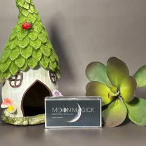 Moon Magick: Deep Moon Messages - Lucid Willow - Oracle Deck