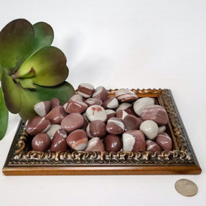 Narmada River Tumbled Stones (1-1.5" Avg) #C111 - Lucid Willow - Crystal