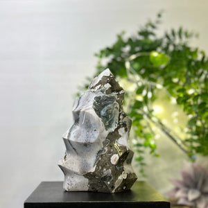 Ocean Jasper Flame #C099 - Lucid Willow - Crystal