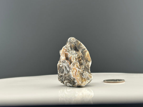 Oco Agate Geode #C105 - Lucid Willow - Crystal