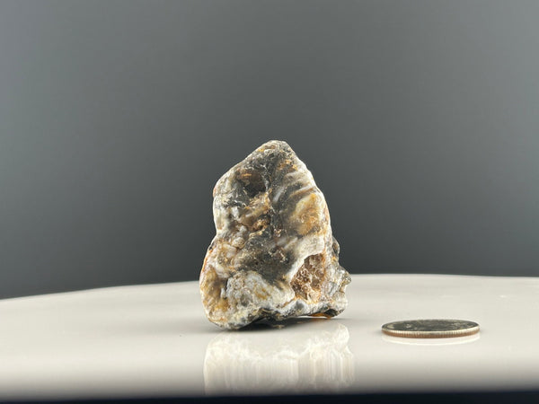 Oco Agate Geode #C105 - Lucid Willow - Crystal