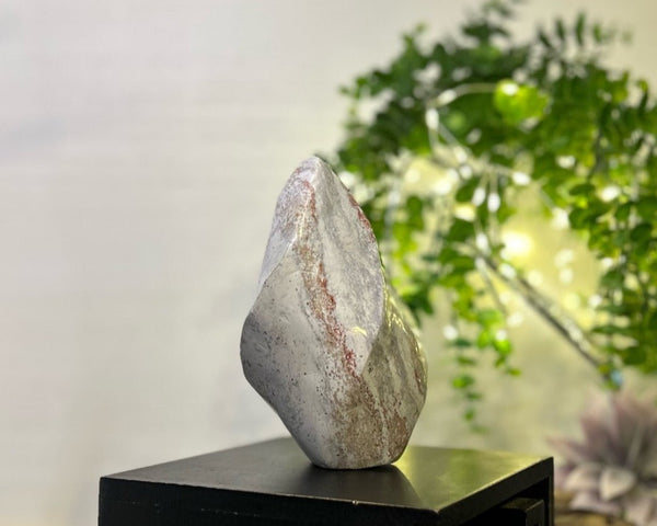 Pastel Ocean Jasper Spiral #C098 - Lucid Willow - Crystal