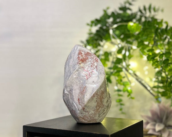 Pastel Ocean Jasper Spiral #C098 - Lucid Willow - Crystal