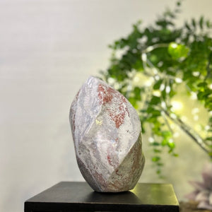 Pastel Ocean Jasper Spiral #C098 - Lucid Willow - Crystal