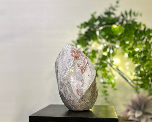 Pastel Ocean Jasper Spiral #C098 - Lucid Willow - Crystal