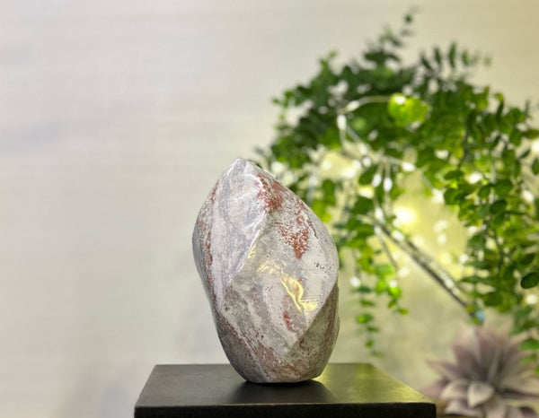 Pastel Ocean Jasper Spiral #C098 - Lucid Willow - Crystal