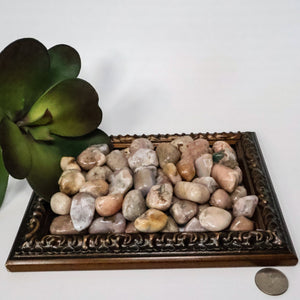 Pink Amethyst Tumbled Stones (0.5-1.5" Avg) #C110 - Lucid Willow - Crystal