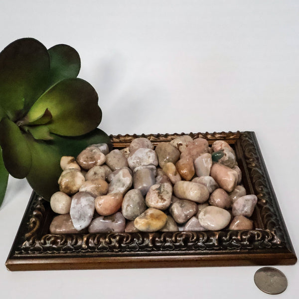 Pink Amethyst Tumbled Stones (0.5-1.5" Avg) #C110 - Lucid Willow - Crystal