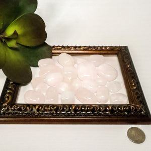 Pink Mangano Calcite Tumbled Stones (1-1.5" Avg) #C112 - Lucid Willow - Crystal