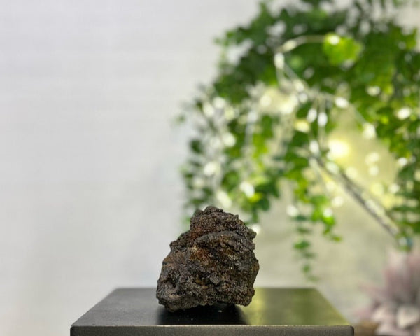 Rainbow Geothite #C097 - Lucid Willow - Crystal