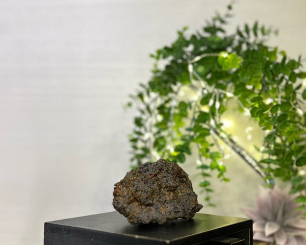 Rainbow Geothite #C097 - Lucid Willow - Crystal