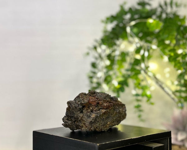 Rainbow Geothite #C097 - Lucid Willow - Crystal