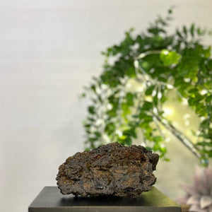 Rainbow Geothite #C097 - Lucid Willow - Crystal