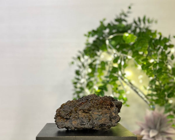 Rainbow Geothite #C097 - Lucid Willow - Crystal