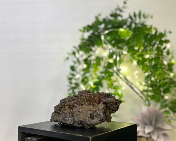 Rainbow Geothite #C097 - Lucid Willow - Crystal