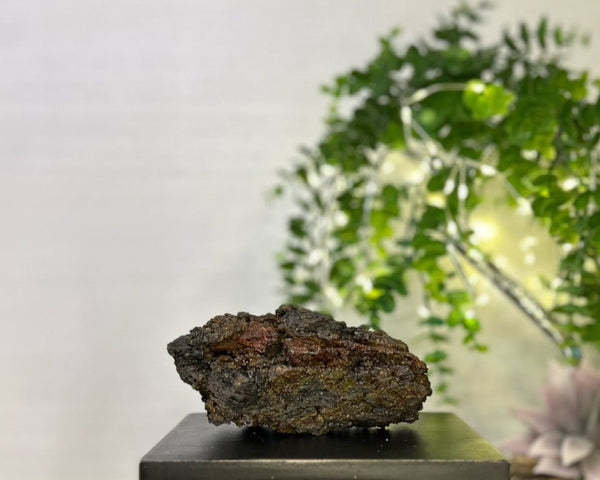 Rainbow Geothite #C097 - Lucid Willow - Crystal