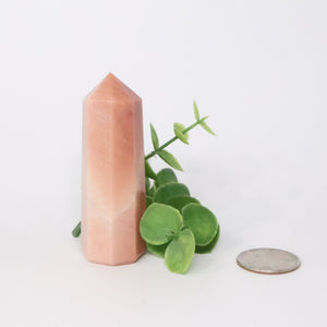 Red Aventurine/Quartz Thick Point (2.5" Avg) #T012 - Lucid Willow - Crystal