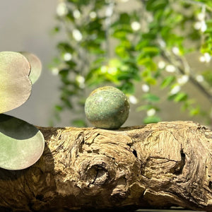 Ruby x Fuchsite 38mm Sphere #S012 - Lucid Willow - Crystal