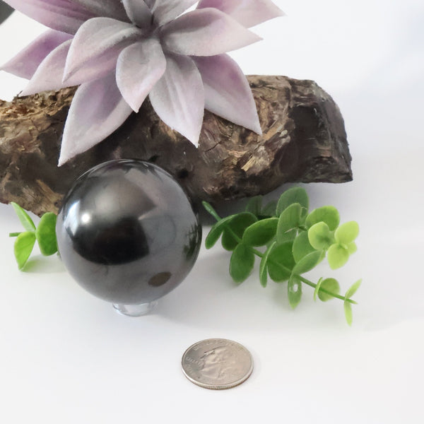 Russian Shungite Polished 51mm Sphere #S022 - Lucid Willow - Crystal