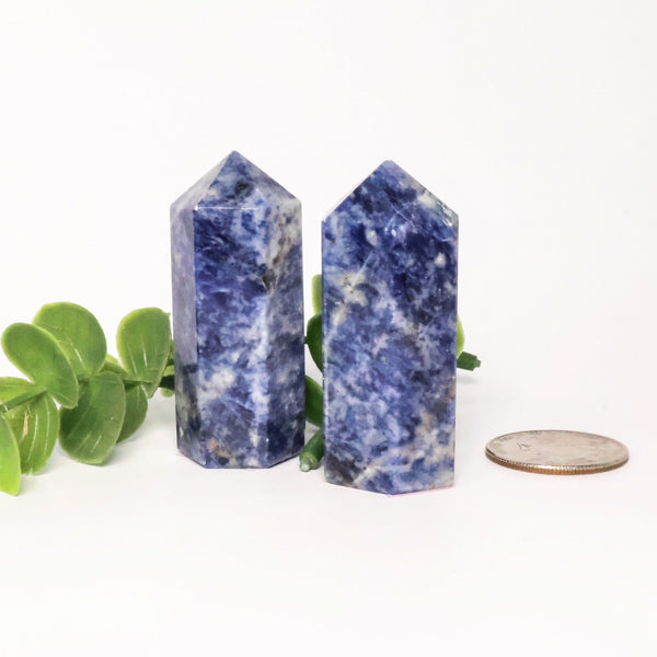 Sodalite Point (2" Avg) #T008 - Lucid Willow - Crystal