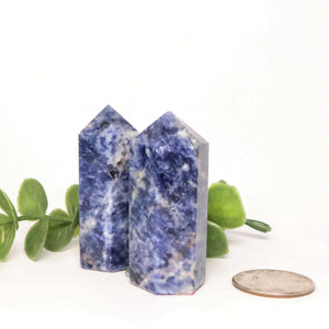 Sodalite Point (2" Avg) #T008 - Lucid Willow - Crystal