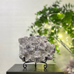 Sugar Fluorite #C086 - Lucid Willow - Crystal
