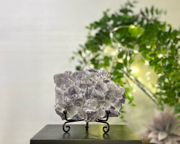 Sugar Fluorite #C086 - Lucid Willow - Crystal