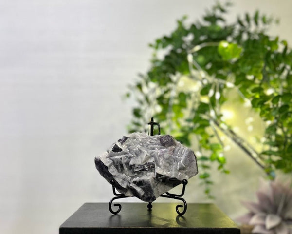 Sugar Fluorite #C096 - Lucid Willow - Crystal