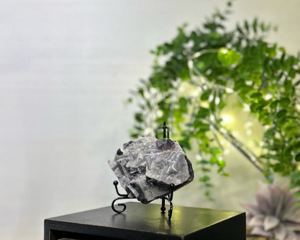 Sugar Fluorite #C096 - Lucid Willow - Crystal